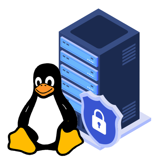 Premium Linux Web Hosting Services in India